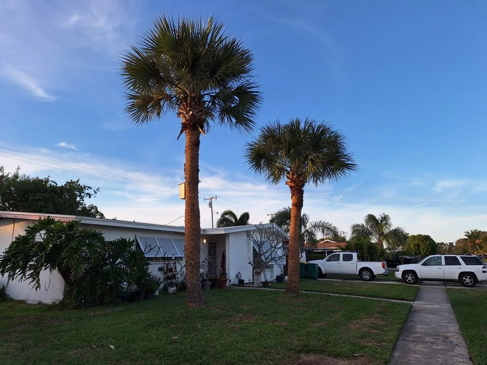 Reliable yard cleanup service for residential properties in Merritt Island, FL by Space Coast Landscaping, LLC