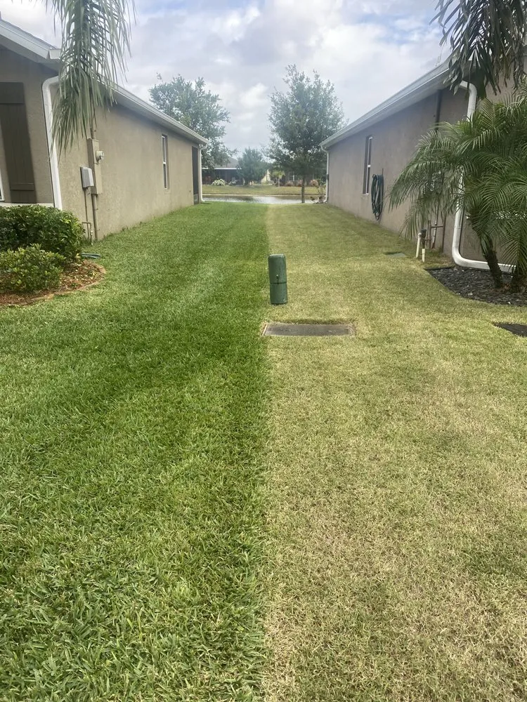 Expert garden landscaping experts serving Palm Bay, FL - Space Coast Lawns