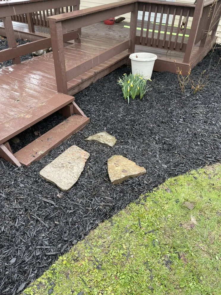 Professional lawn care service experts serving Endicott, NY - Space Maintenance