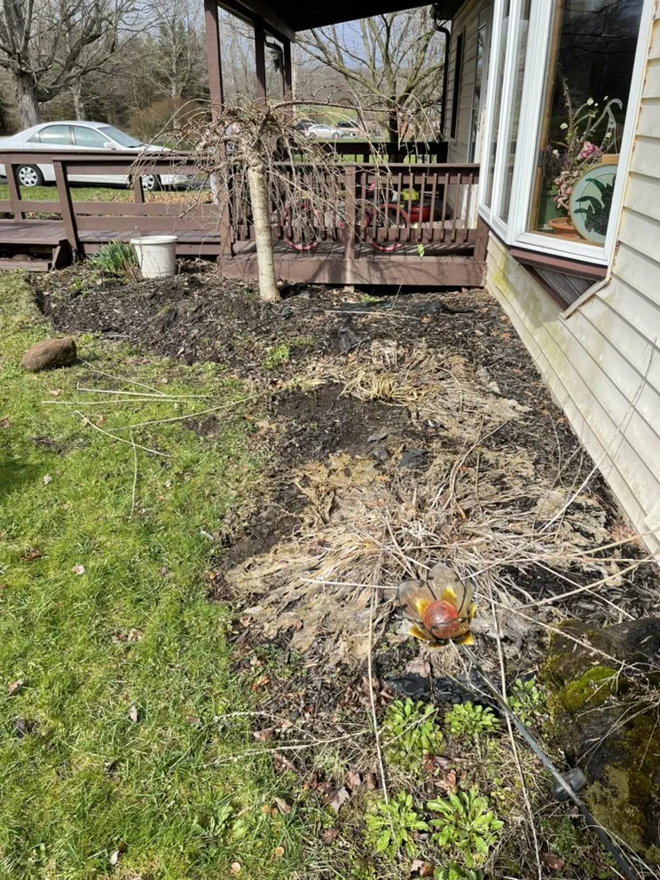 Trusted yard cleanup service for outdoor upgrades across Endicott, NY - Space Maintenance