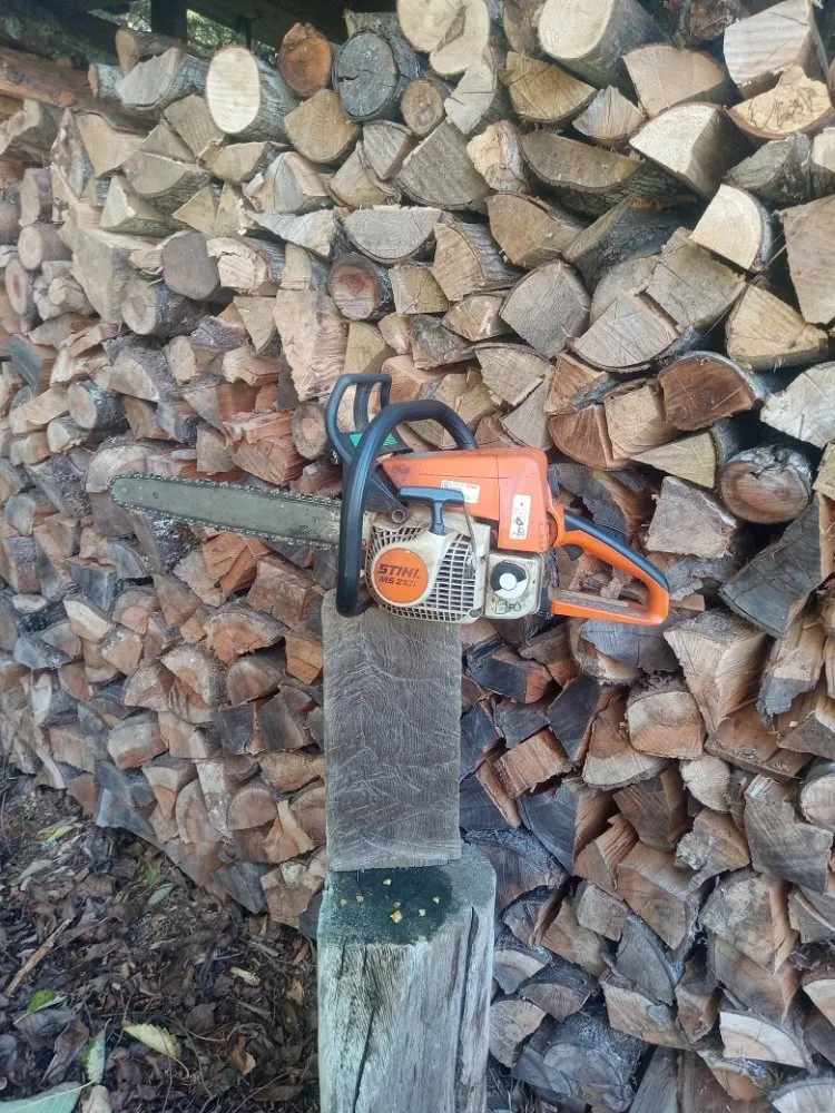 Local landscaping services for homes across Bellingham, WA - Space Turtle Landscapes