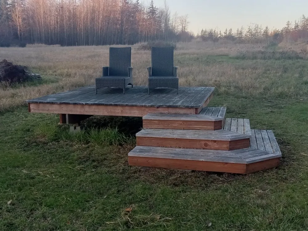 Affordable landscape installation for year-round maintenance in Bellingham, WA by Space Turtle Landscapes