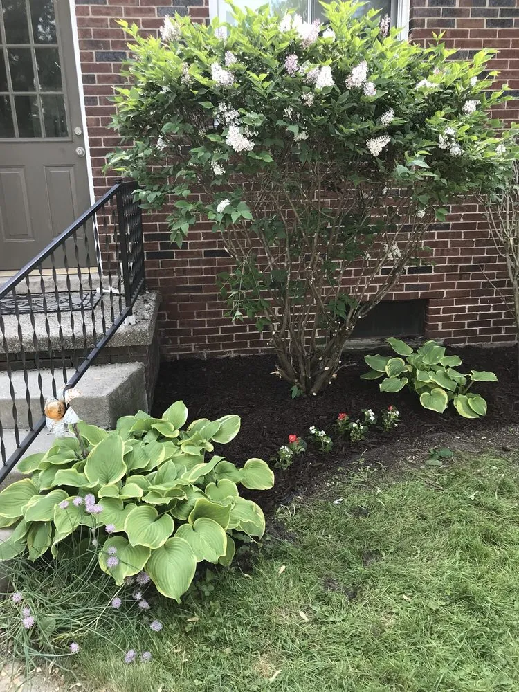 Affordable lawn care service experts serving Lansing, MI - Spadafore's Outdoor Maintenance & More