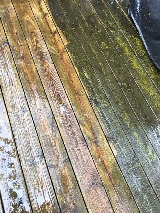 Reliable lawn care service in Lansing, MI by Spadafore's Outdoor Maintenance & More