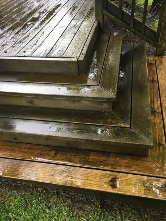 Professional yard maintenance in Lansing, MI by Spadafore's Outdoor Maintenance & More