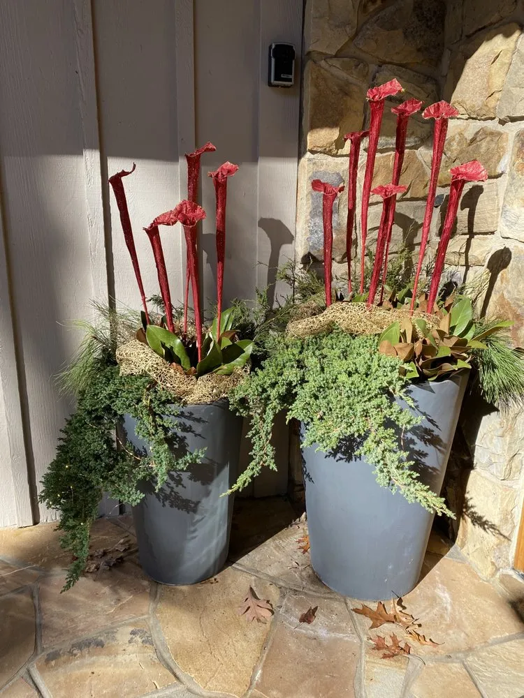 Custom yard cleanup service experts serving Raleigh, NC - Spade & Sparrow