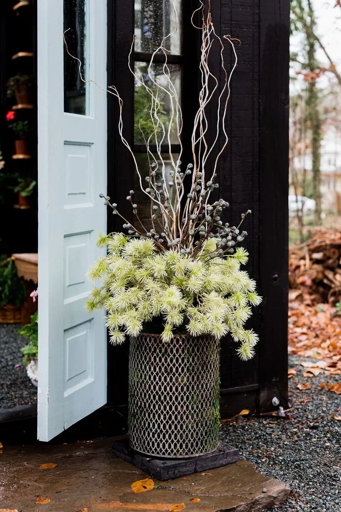 Top-rated landscape design with custom design in Raleigh, NC by Spade & Sparrow