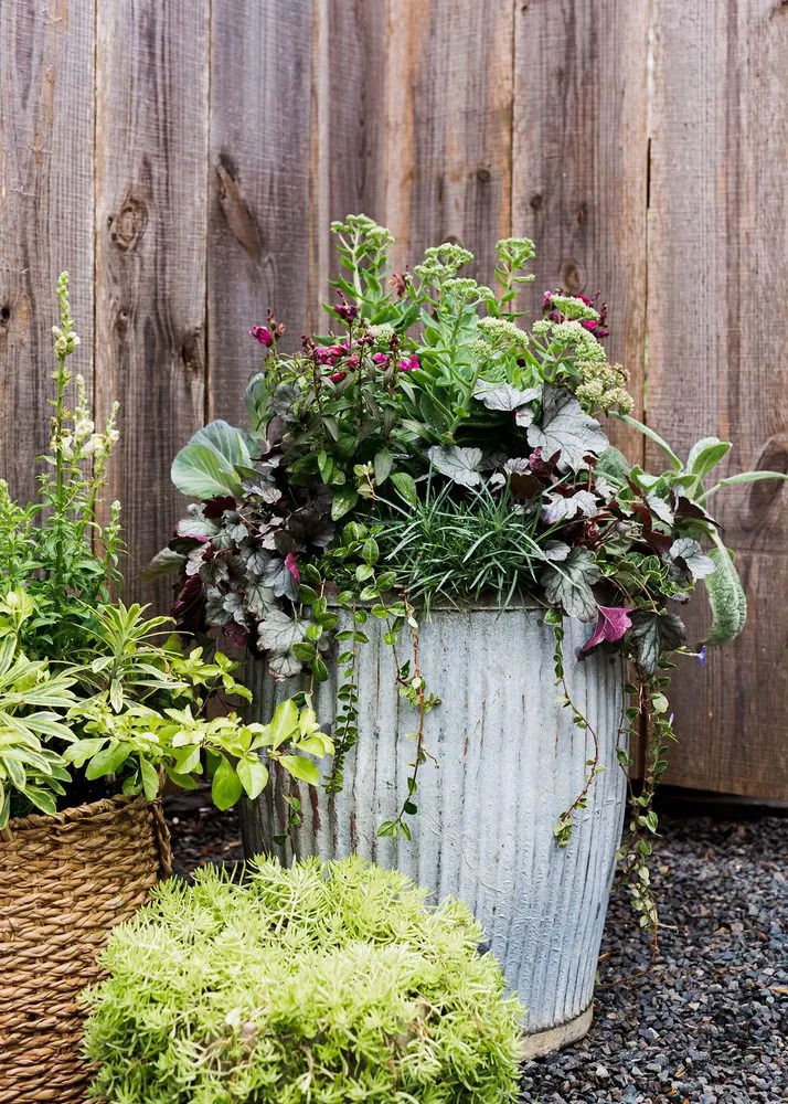 Affordable lawn mowing service near you in Raleigh, NC by Spade & Sparrow