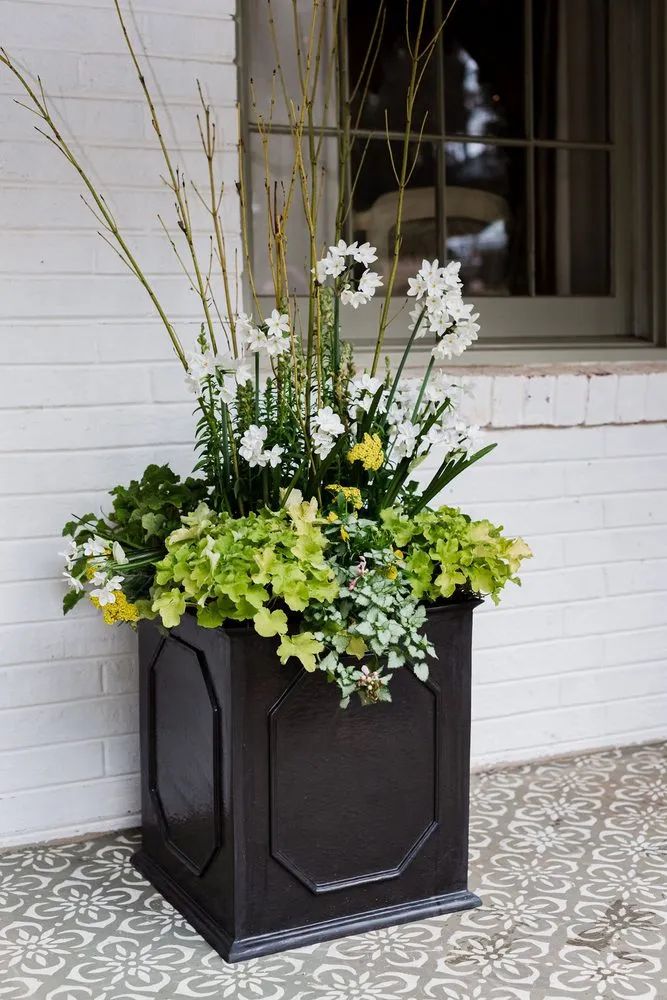 Reliable residential landscaping in Raleigh, NC by Spade & Sparrow