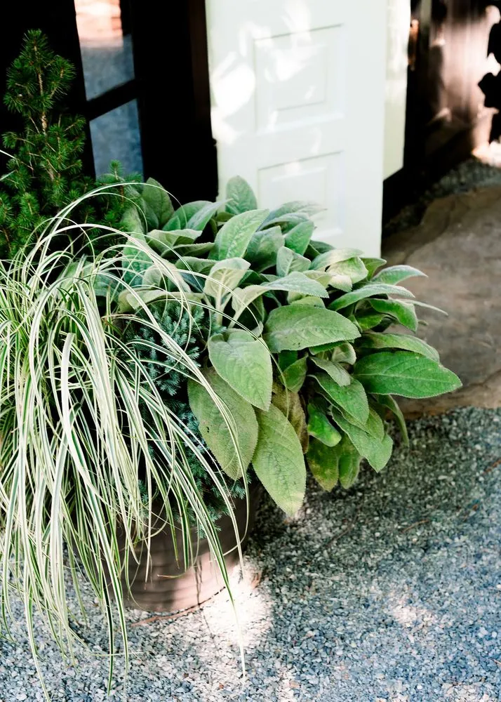 Top-rated lawn mowing service experts serving Raleigh, NC - Spade & Sparrow