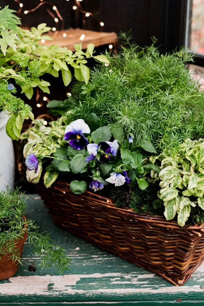 Top-rated outdoor landscaping in Raleigh, NC - Spade & Sparrow