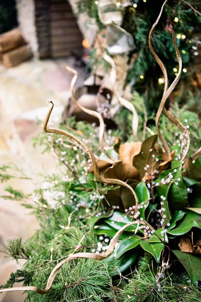 Professional garden landscaping for outdoor upgrades in Raleigh, NC by Spade & Sparrow