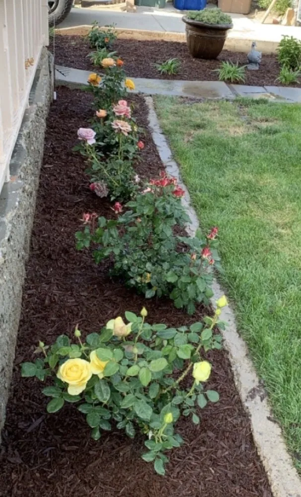 Affordable garden landscaping in STEVENSON RNH, CA by Spade Landcare