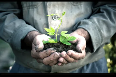 Reliable yard cleanup service for homes across Saint Paul, MN - Spade Landscaping