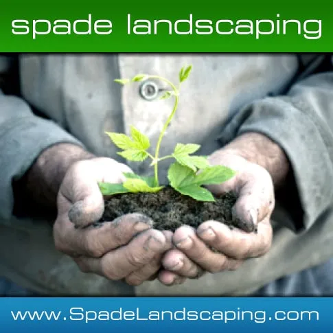 Affordable landscape design for residential properties in Saint Paul, MN by Spade Landscaping