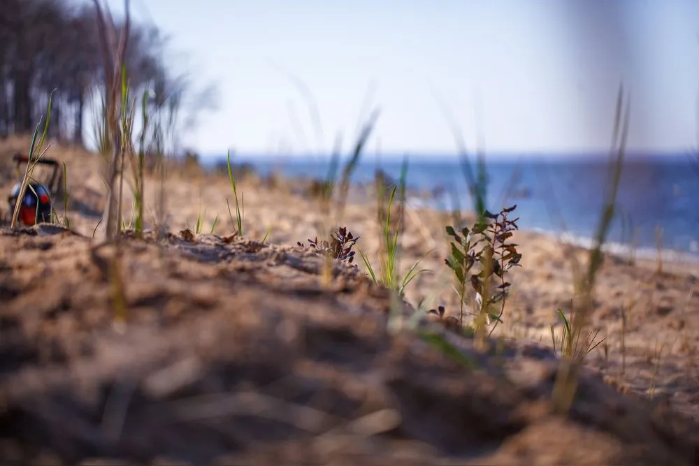 Professional landscape installation experts serving Medford, NY - Spadefoot Design & Construction