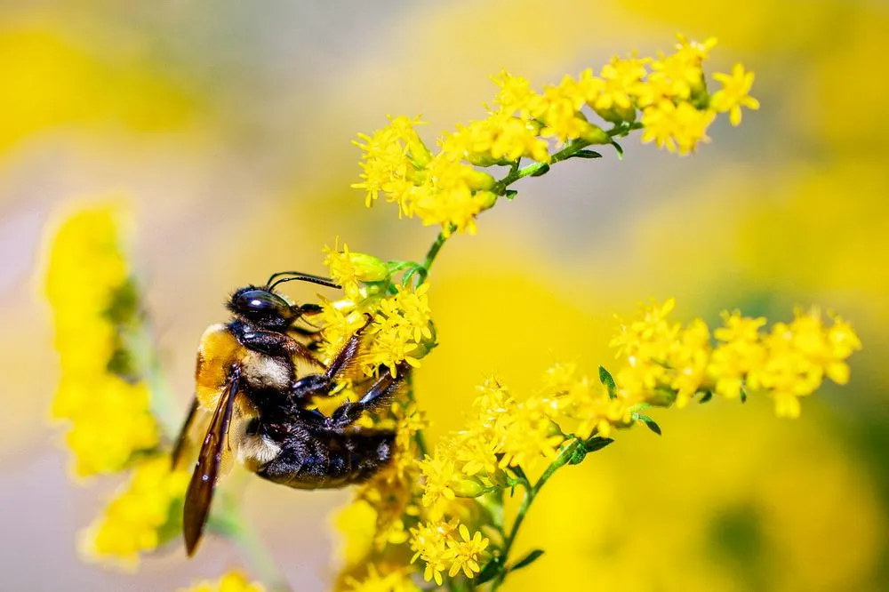 Expert landscaping services experts serving Medford, NY - Spadefoot Design & Construction