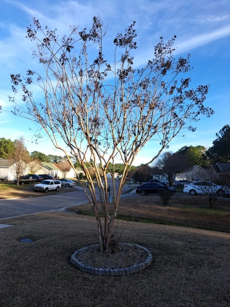 Professional landscape design in Burgaw, NC by Spader's Edge Lawn Care Services