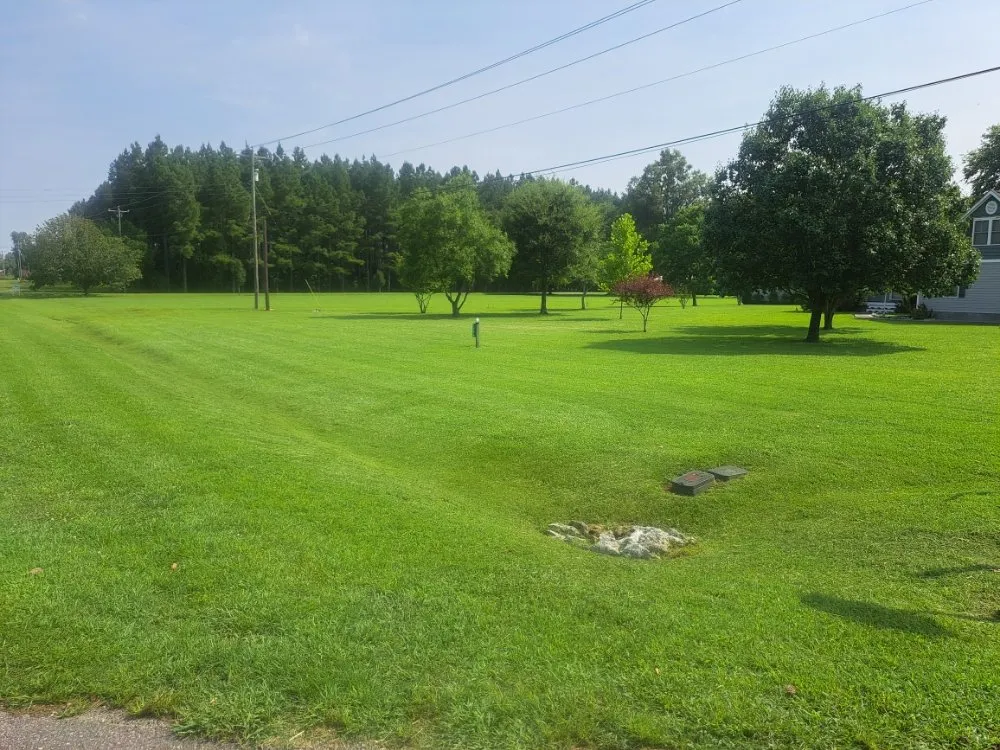 Local lawn care service experts serving Burgaw, NC - Spader's Edge Lawn Care Services
