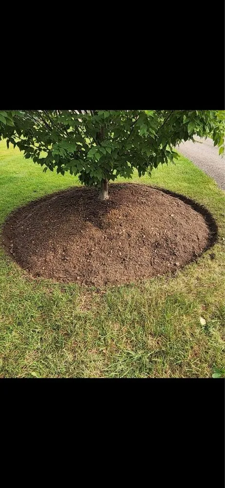 Top-rated lawn mowing service for homes across Wixom, MI - Spades Outdoor Services