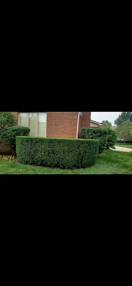 Custom landscape installation experts serving Wixom, MI - Spades Outdoor Services