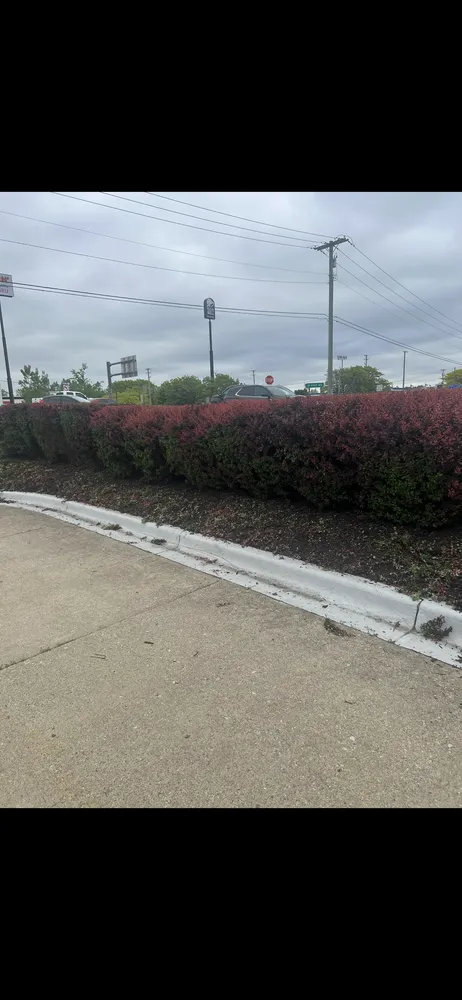 Reliable landscaping services in Wixom, MI - Spades Outdoor Services