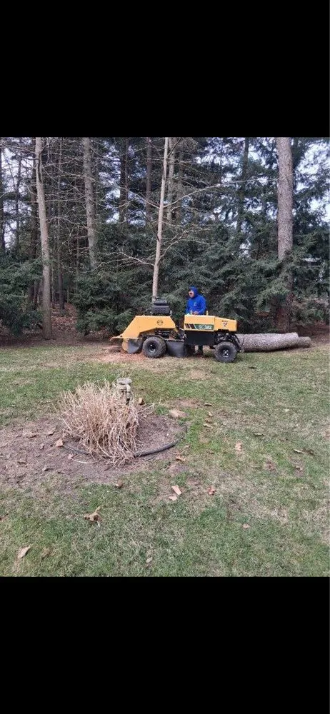 Affordable lawn care service for outdoor upgrades in Wixom, MI by Spades Outdoor Services