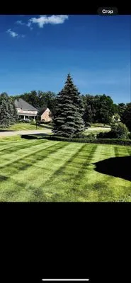 Spades Outdoor Services