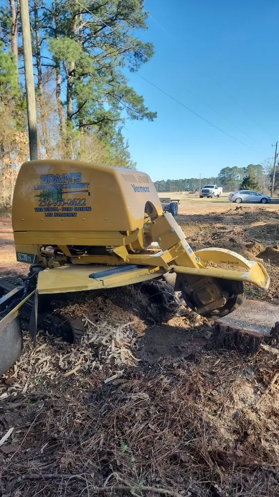 Professional residential landscaping experts serving Macclesfield, NC - Spain's Land Development