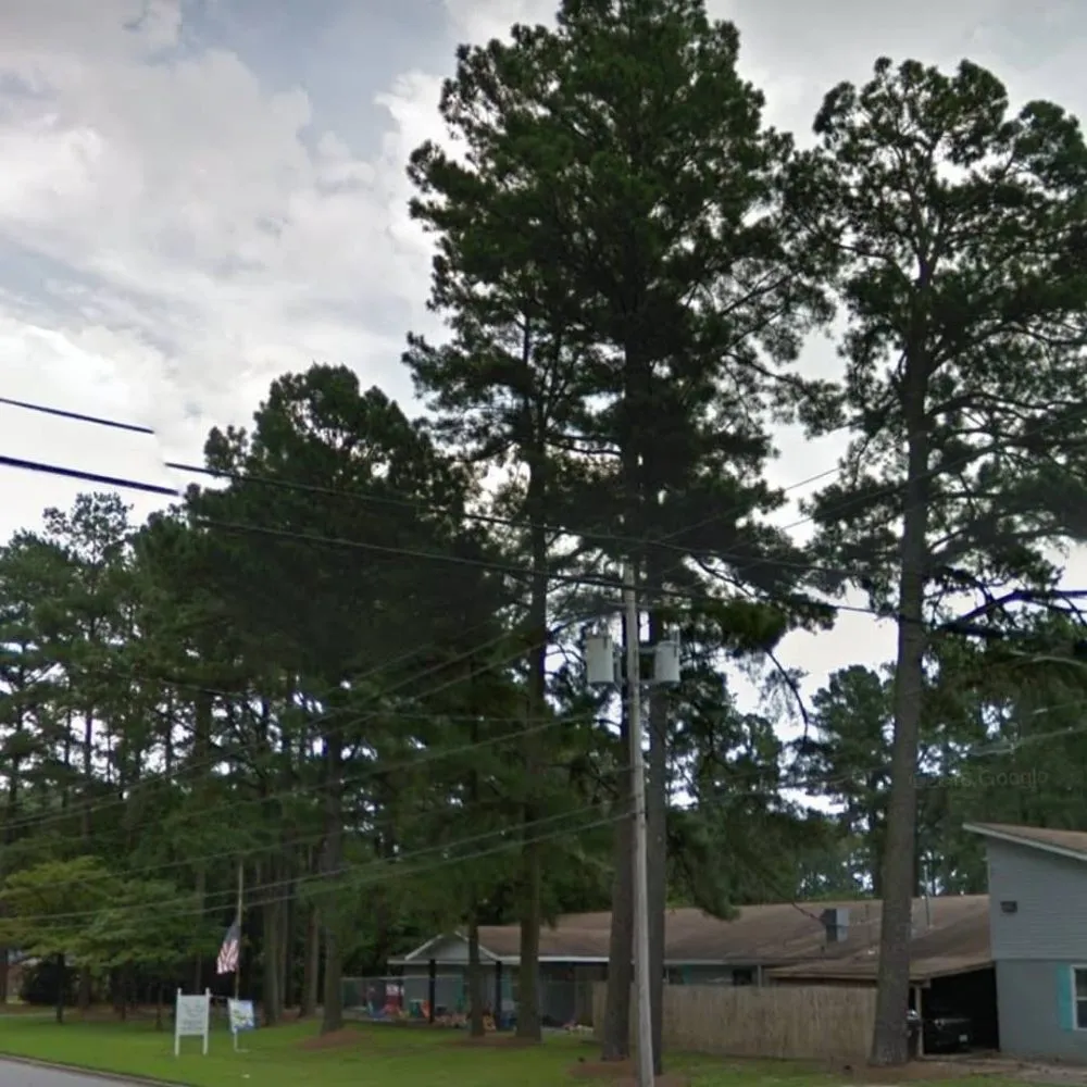 Professional outdoor landscaping in Macclesfield, NC - Spain's Land Development