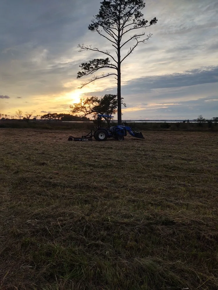 Expert lawn care service experts serving Macclesfield, NC - Spain's Land Development