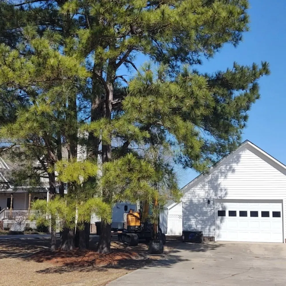 Expert landscape installation in Macclesfield, NC - Spain's Land Development