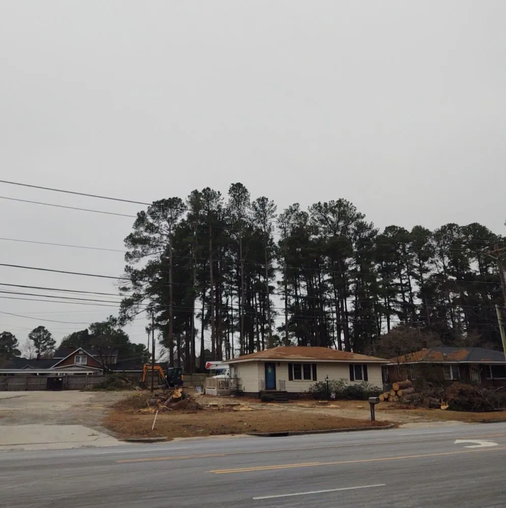 Expert yard maintenance for year-round maintenance across Macclesfield, NC - Spain's Land Development