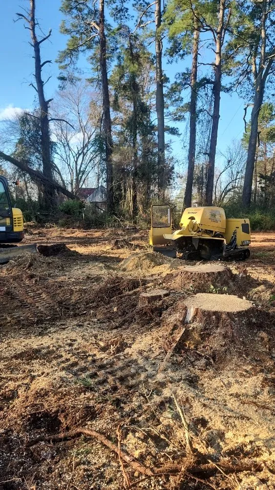 Expert yard maintenance in Macclesfield, NC by Spain's Land Development