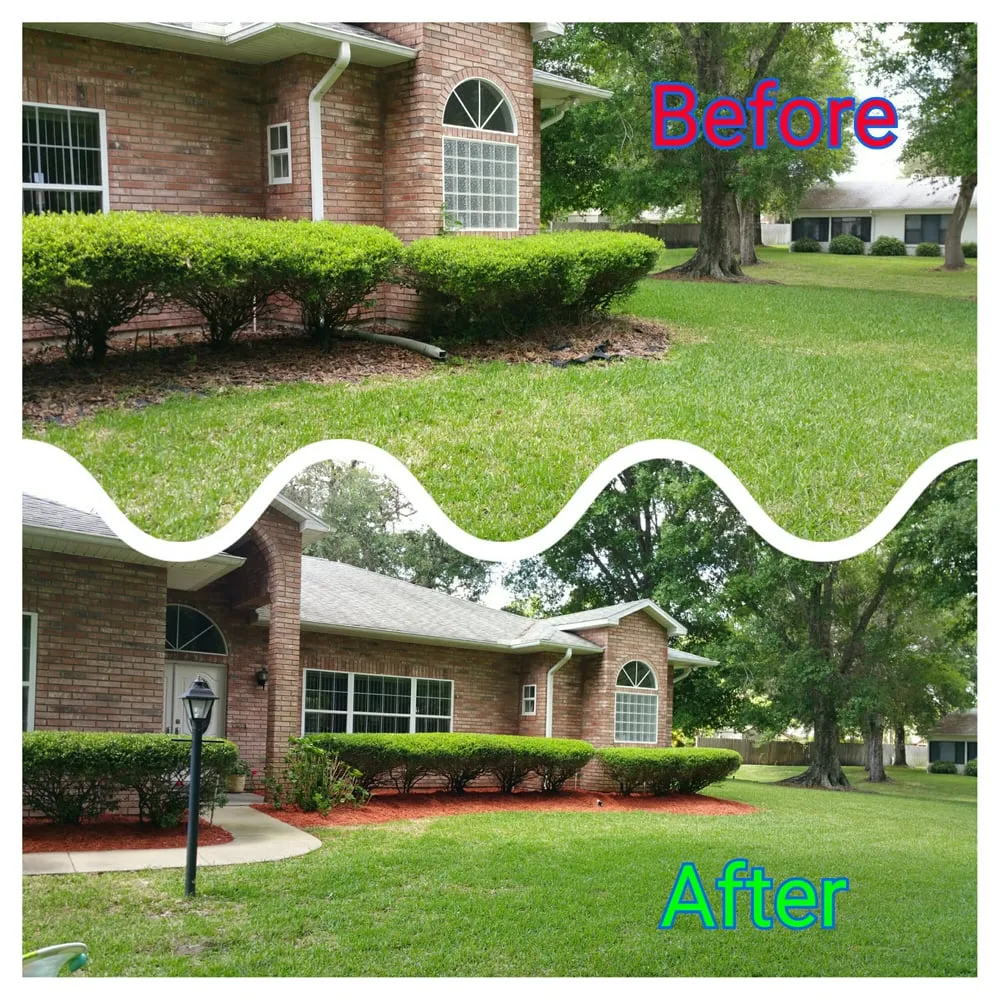 Professional landscaping services in New Smyrna Beach, FL by Spalding Landscaping
