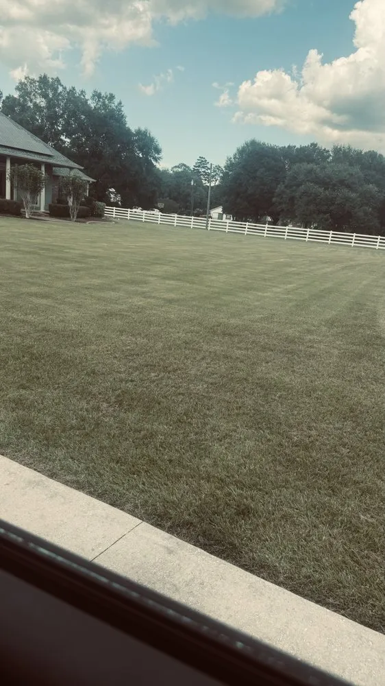 Custom outdoor landscaping for year-round maintenance in Tickfaw, LA by Spallinos tlc