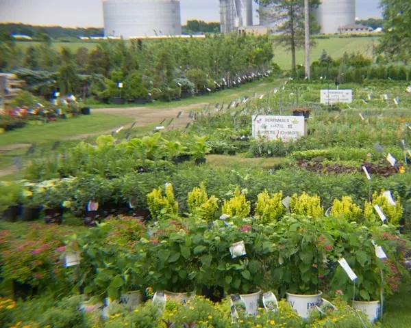 Reliable residential landscaping in Morrison, IL - Spangler's Landscaping & Garden Center