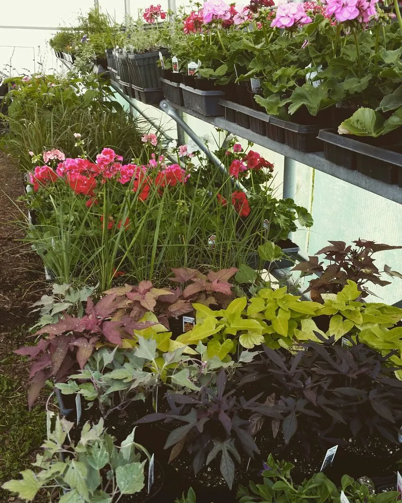 Custom landscape installation experts serving Morrison, IL - Spangler's Landscaping & Garden Center