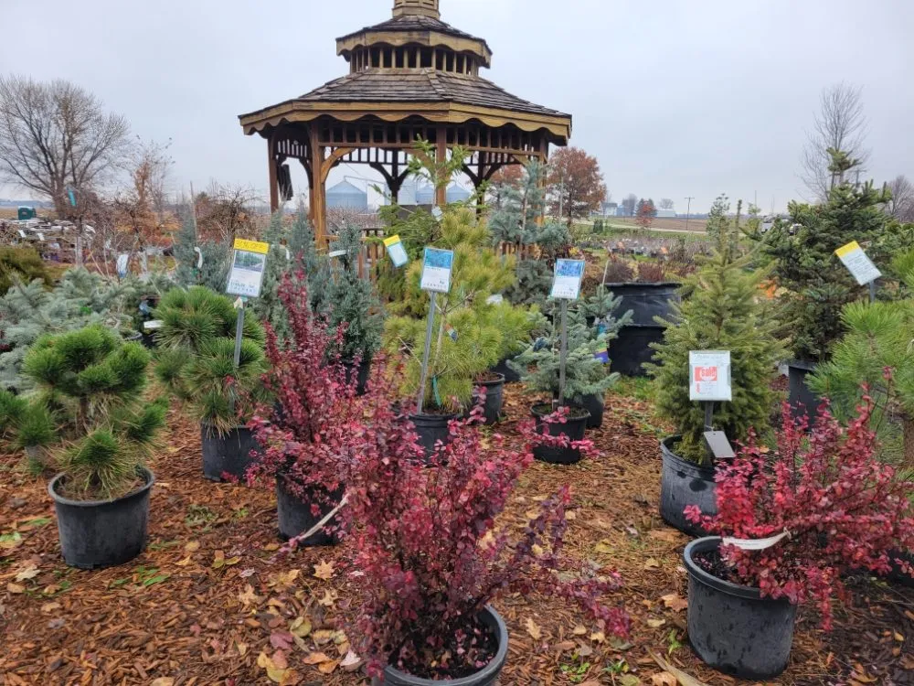 Reliable lawn care service for beautiful yards in Morrison, IL by Spangler's Landscaping & Garden Center