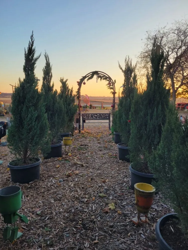 Professional landscaping services for year-round maintenance in Morrison, IL by Spangler's Landscaping & Garden Center