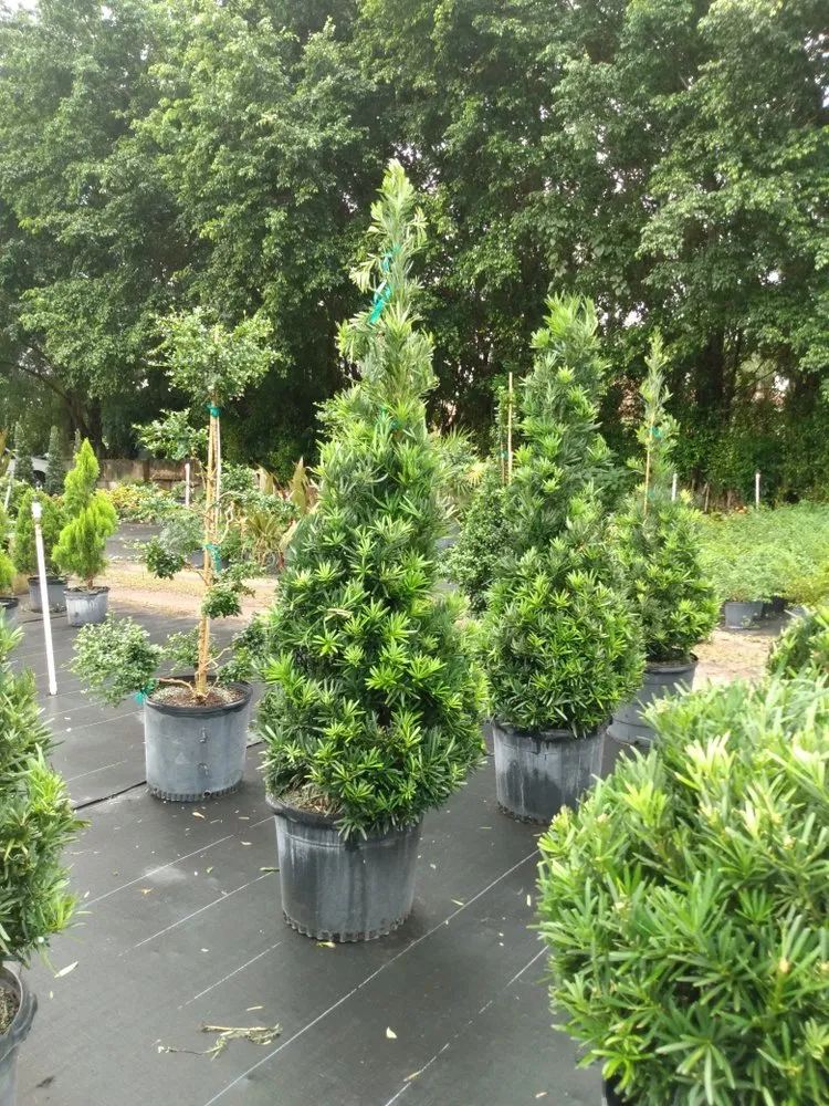 Professional outdoor landscaping in Delray Beach, FL by Spanish River Nursery