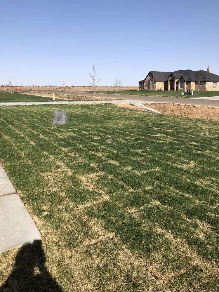 Custom residential landscaping for year-round maintenance in Amarillo, TX by SPANKY'S