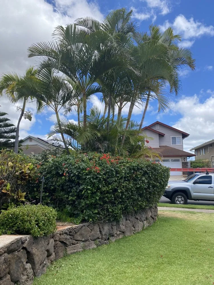 Reliable residential landscaping in Waianae, HI - Spankys Lawn and Maintenance