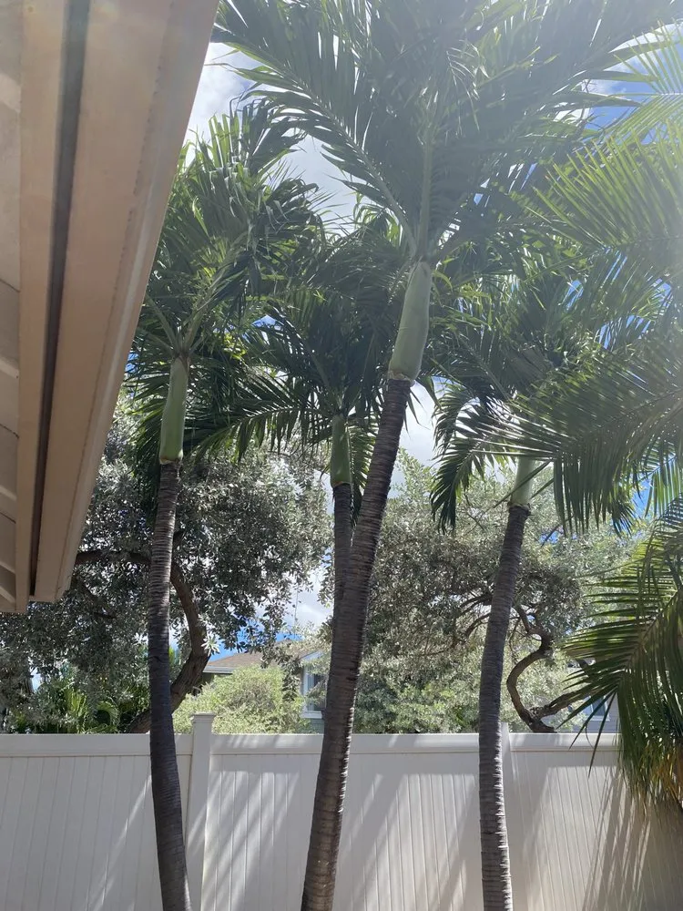 Affordable landscape installation in Waianae, HI by Spankys Lawn and Maintenance