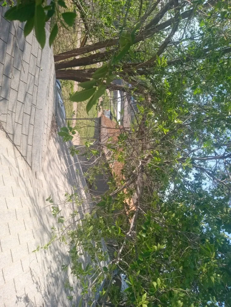 Expert lawn mowing service near you in Slaton, TX by Spankys Lawn Care & Tree Service