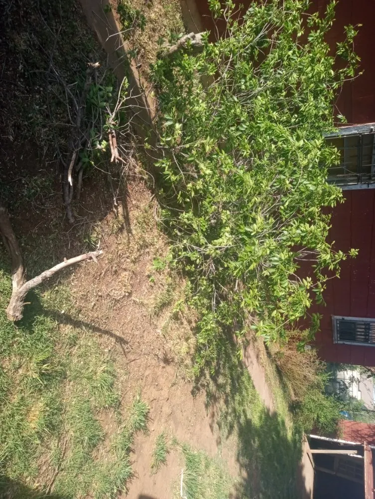 Trusted landscape design for year-round maintenance across Slaton, TX - Spankys Lawn Care & Tree Service