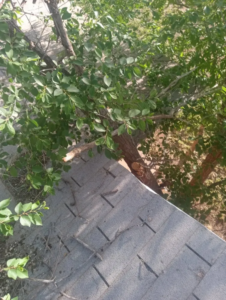 Reliable landscaping services for residential properties across Slaton, TX - Spankys Lawn Care & Tree Service