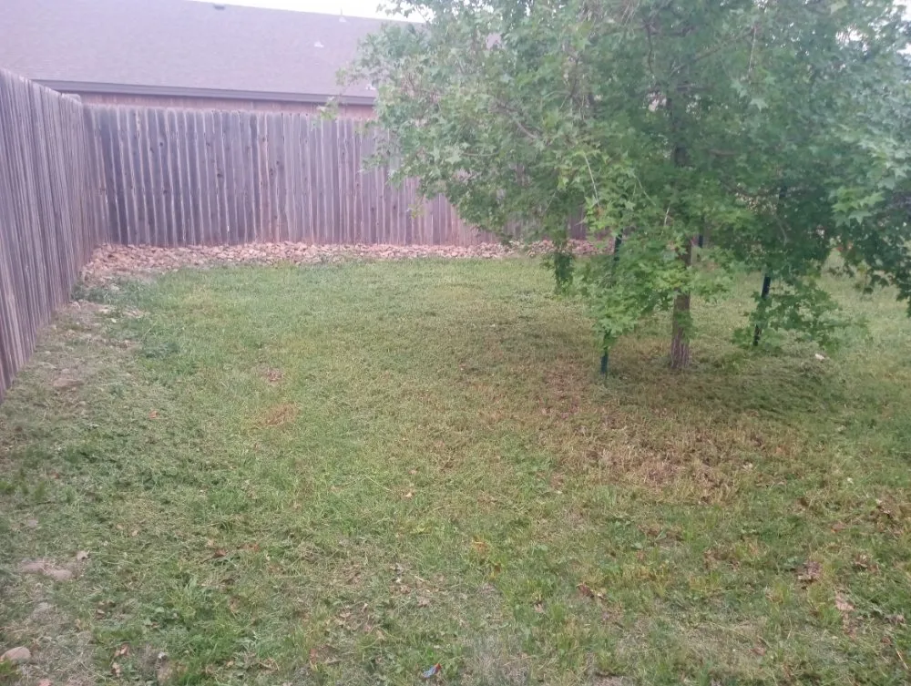 Professional lawn care service in Slaton, TX - Spankys Lawn Care & Tree Service