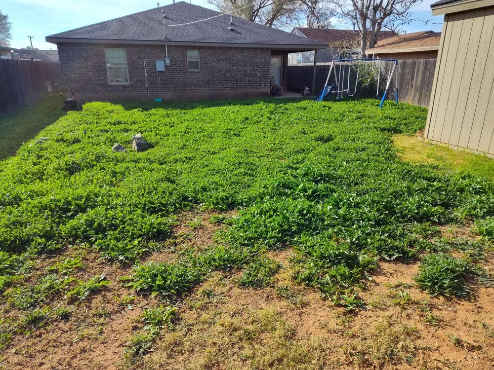 Top-rated residential landscaping in Slaton, TX by Spankys Lawn Care & Tree Service