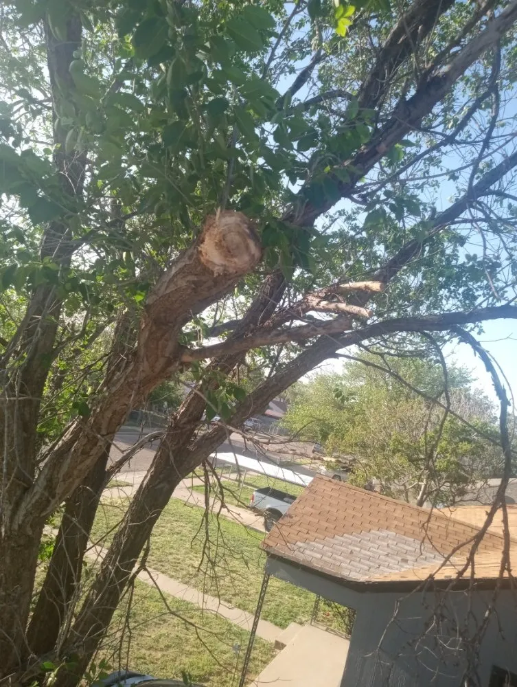 Reliable landscape installation with custom design in Slaton, TX by Spankys Lawn Care & Tree Service